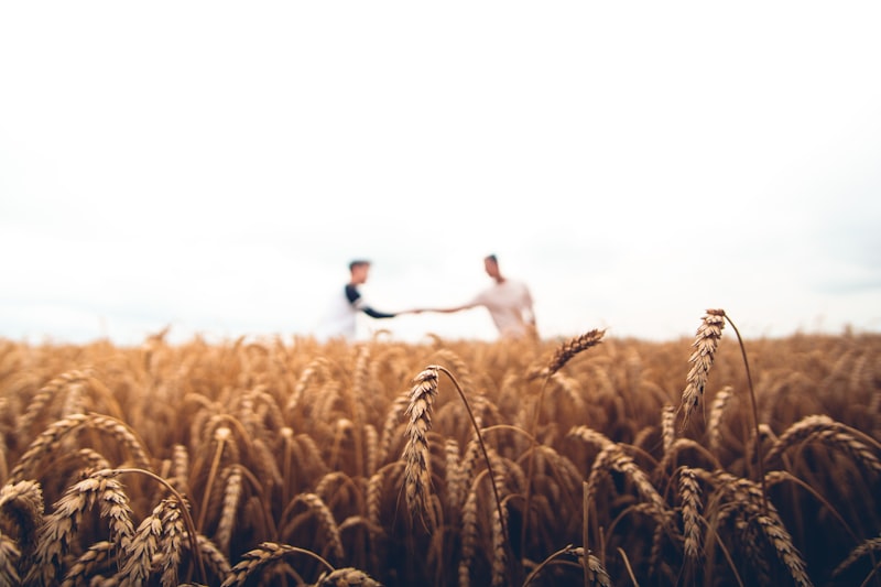 Agriculture & Farm Workers